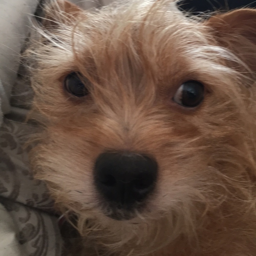 Meet your Posher, Catherine